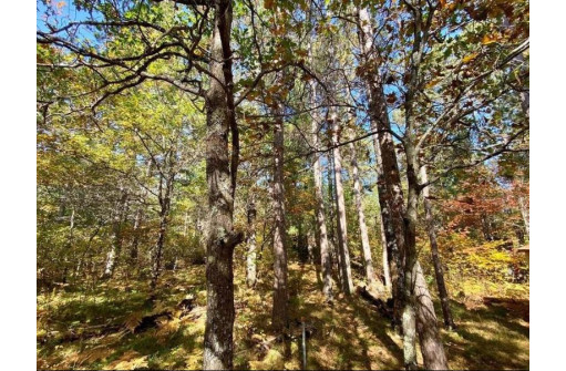 LOT 22 Golden Eagle Trail, Barnes, WI 54873