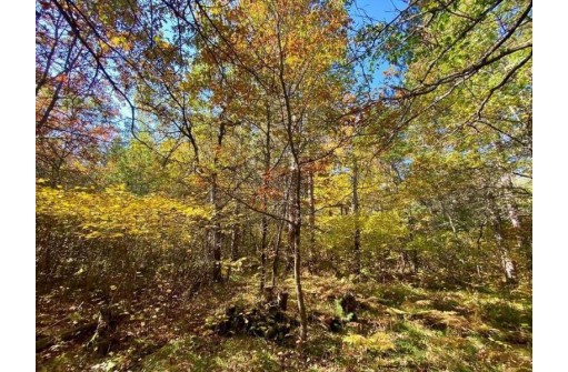 LOT 22 Golden Eagle Trail, Barnes, WI 54873