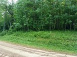 LOT 18 297th Street Eau Galle, WI 54737