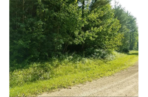 LOT 35 297th Street, Eau Galle, WI 54737