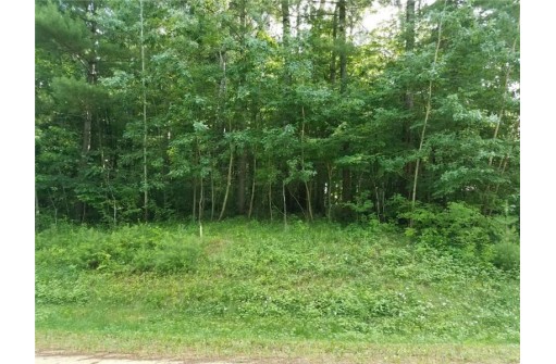 LOT 35 297th Street, Eau Galle, WI 54737