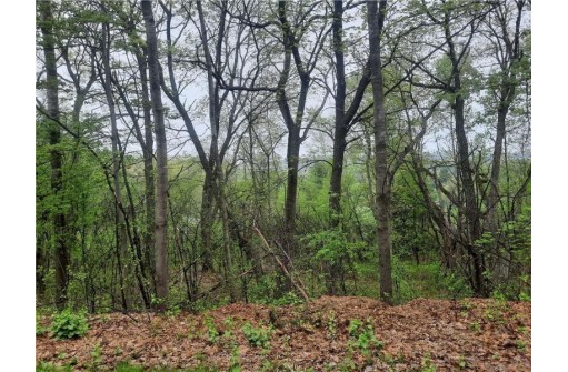 LOT 103 Rye Bluff Road, Black River Falls, WI 54615