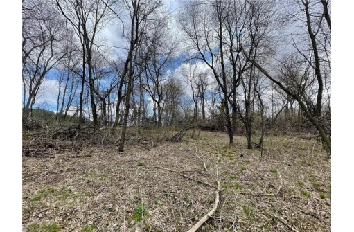 LOT 1 CSM 4775 & LOT 34 500th Street, Menomonie, WI 54751