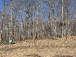 LOT 14 Wilderness Hills Lane Luck, WI 54853