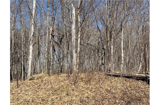 LOT 15 Wilderness Hills Lane, Luck, WI 54853