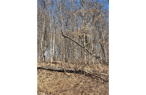 LOT 16 Wilderness Hills Lane, Luck, WI 54853