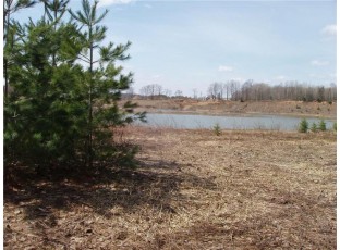 40 ACRES ON Cth E Park Falls, WI 54552