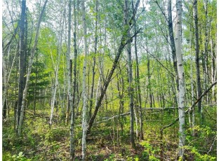 LOT 12 25 1/2 Street Chetek, WI 54728