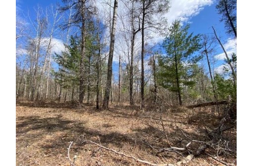 LOT 2 Pash Drive, Trego, WI 54888