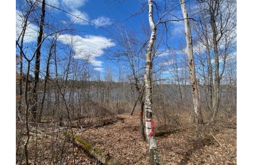 LOT 2 Pash Drive, Trego, WI 54888