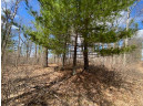 LOT 2 Pash Drive, Trego, WI 54888