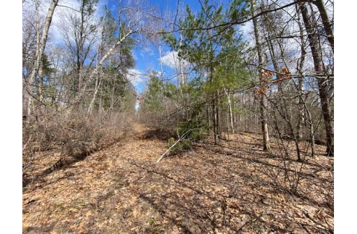 LOT 2 Pash Drive, Trego, WI 54888