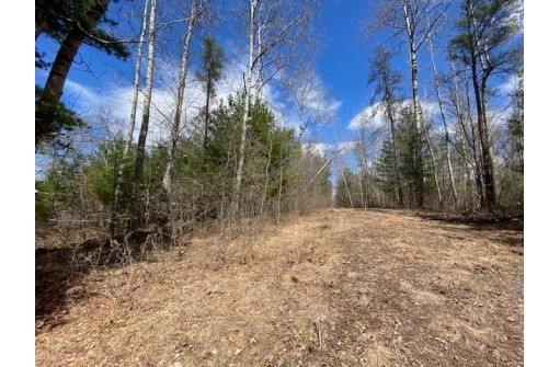 LOT 2 Pash Drive, Trego, WI 54888