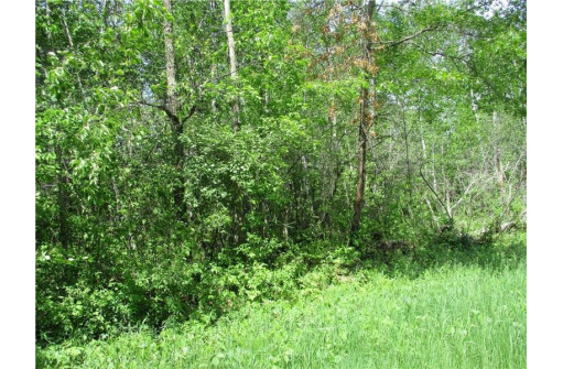 LOT #16 BLOCK 25 Eden Avenue, Birchwood, WI 54817