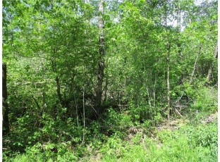 LOT #18, BLOCK 25 Eden Avenue Birchwood, WI 54817