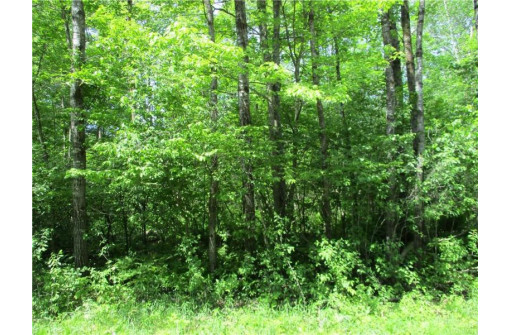 LOT #19, BLOCK #25 Eden Avenue, Birchwood, WI 54817