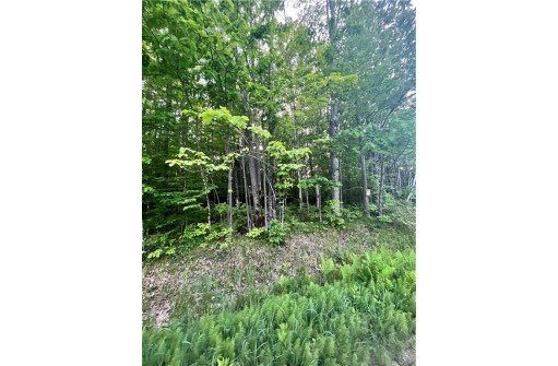 LOT 2 Universal Drive, Winter, WI 54896