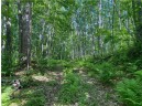 LOT 7 Secluded Trail, Hayward, WI 54843