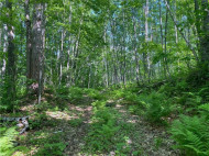 LOT 7 Secluded Trail