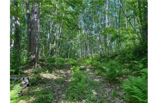 LOT 7 Secluded Trail, Hayward, WI 54843