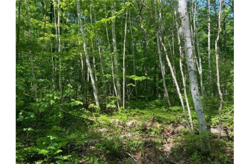 LOT 7 Secluded Trail, Hayward, WI 54843