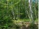 LOT 7 Secluded Trail Hayward, WI 54843