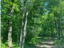 LOT 7 Secluded Trail, Hayward, WI 54843