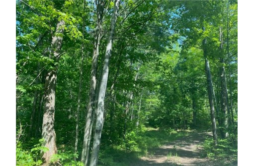 LOT 7 Secluded Trail, Hayward, WI 54843