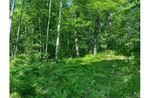 LOT 7 Secluded Trail, Hayward, WI 54843