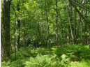 LOT 7 Secluded Trail, Hayward, WI 54843