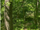 LOT 7 Secluded Trail, Hayward, WI 54843