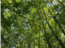 LOT 7 Secluded Trail, Hayward, WI 54843