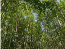 LOT 7 Secluded Trail, Hayward, WI 54843