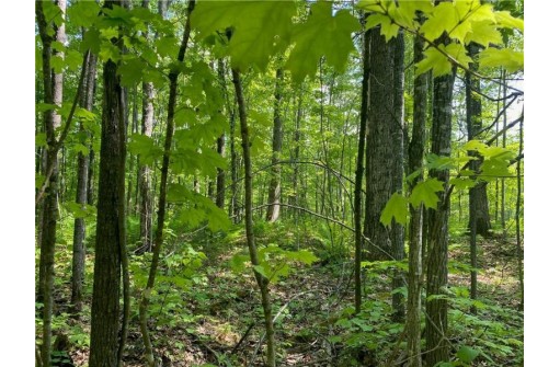 LOT 7 Secluded Trail, Hayward, WI 54843