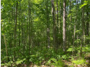 LOT 7 Secluded Trail, Hayward, WI 54843