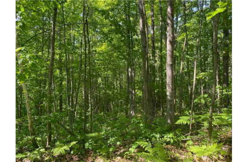 LOT 7 Secluded Trail, Hayward, WI 54843