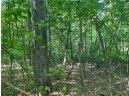 LOT 7 Secluded Trail, Hayward, WI 54843