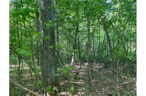 LOT 7 Secluded Trail, Hayward, WI 54843