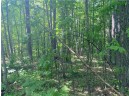 LOT 7 Secluded Trail, Hayward, WI 54843