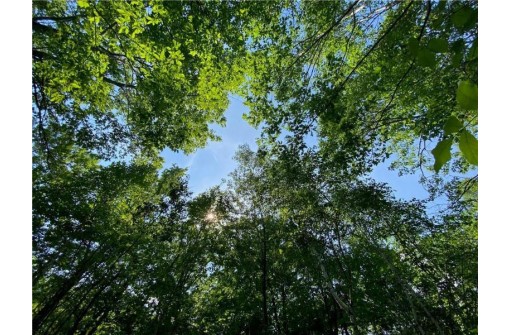 LOT 7 Secluded Trail, Hayward, WI 54843