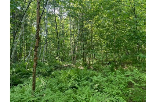 LOT 7 Secluded Trail, Hayward, WI 54843