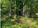 LOT 7 Secluded Trail, Hayward, WI 54843