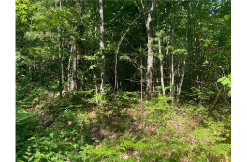 LOT 7 Secluded Trail, Hayward, WI 54843