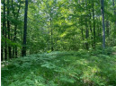 LOT 7 Secluded Trail, Hayward, WI 54843