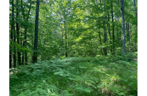 LOT 7 Secluded Trail, Hayward, WI 54843