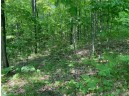 LOT 7 Secluded Trail, Hayward, WI 54843