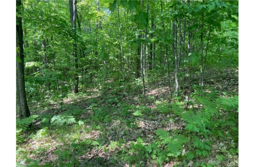 LOT 7 Secluded Trail, Hayward, WI 54843