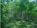 LOT 7 Secluded Trail, Hayward, WI 54843