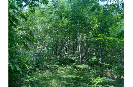 LOT 7 Secluded Trail, Hayward, WI 54843