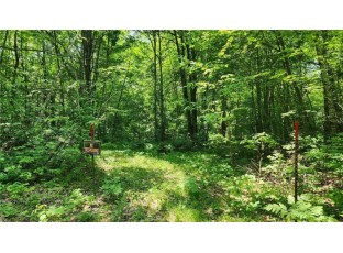 62.59 ACRES 290th Holcombe, WI 54745